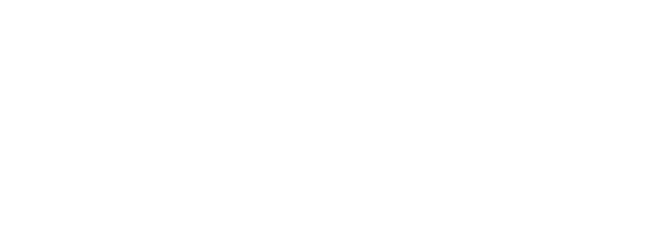 ThePicksHouse deutschland
